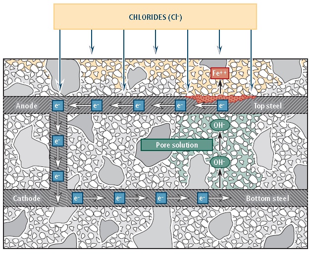 Механизм электрохимической коррозии армирующих элементов в бетоне.
